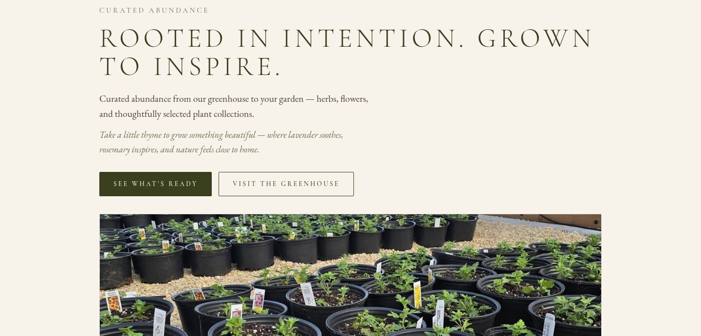 Patch of Thyme homepage — the headline 'Rooted in intention. Grown to inspire.' above a photo of potted plants lined up in the greenhouse